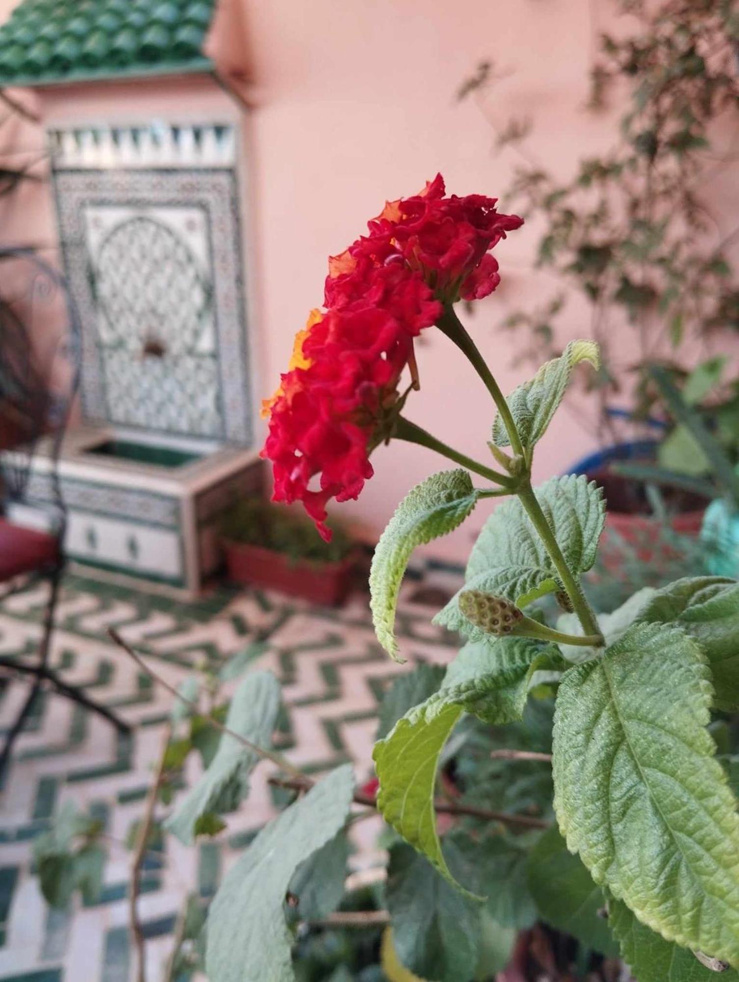Hotel Dar Lantana Fès Exteriér fotografie